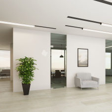 Стеклянная дверь маятниковая StekloMet серия Easy Universal SM-012105.10 Стеклянная дверь маятниковая StekloMet серия Easy Universal SM-012105.10