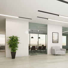 Стеклянная перегородка с маятниковой дверью StekloMet серия Easy Universal SM-012106.10 Стеклянная перегородка с маятниковой дверью StekloMet серия Easy Universal SM-012106.10