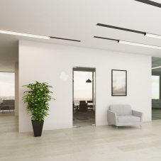 Стеклянная дверь маятниковая StekloMet серия Easy Universal SM-012101.10 Стеклянная дверь маятниковая StekloMet серия Easy Universal SM-012101.10