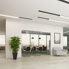 Стеклянная перегородка с маятниковой дверью StekloMet серия Easy Universal SM-012205.10 Стеклянная перегородка с маятниковой дверью StekloMet серия Easy Universal SM-012205.10